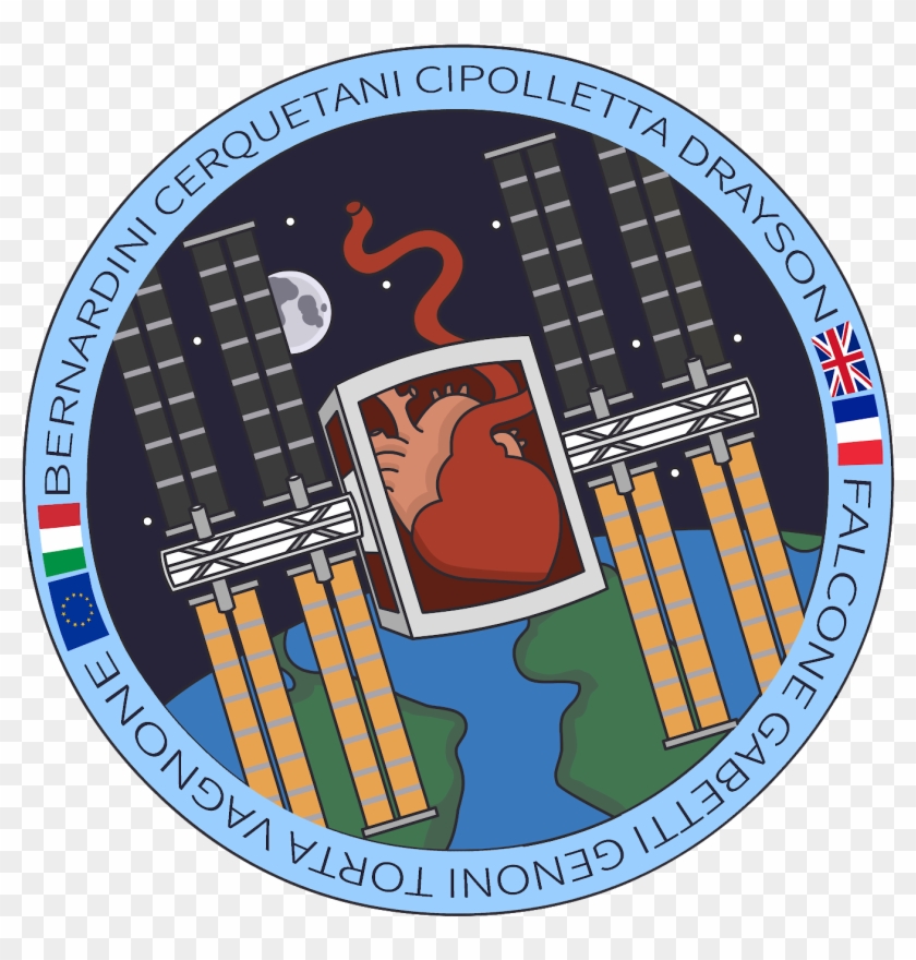 Team Aim Logo - Circle Clipart #4953631