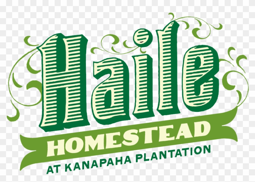 Graphic Design Clipart #4954564