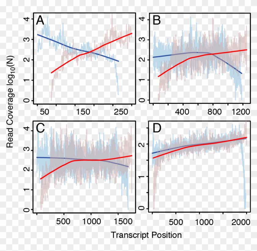 Bias Profiling Clipart