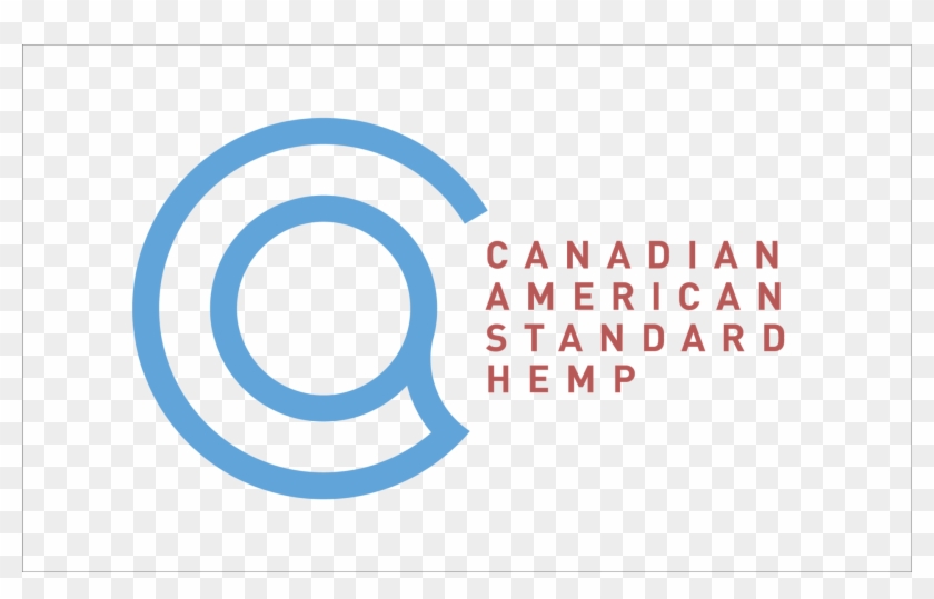 Circle Clipart #4956884