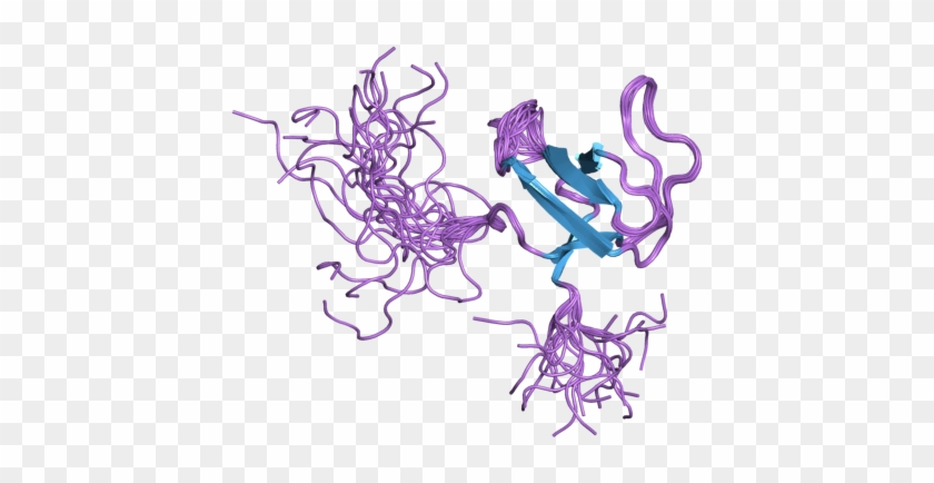 Megakaryocyte - Illustration Clipart