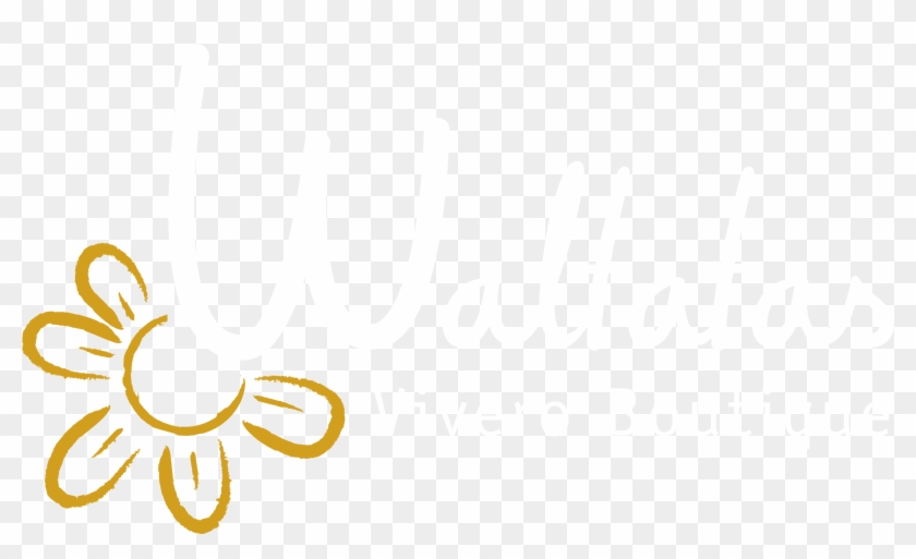 Vivero Vivero - Calligraphy Clipart
