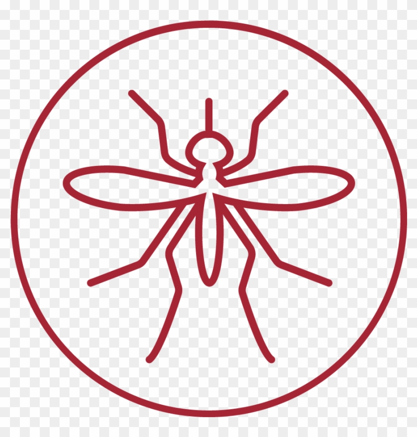 Mosquito Bug - Zika Transparent Clipart #4958964