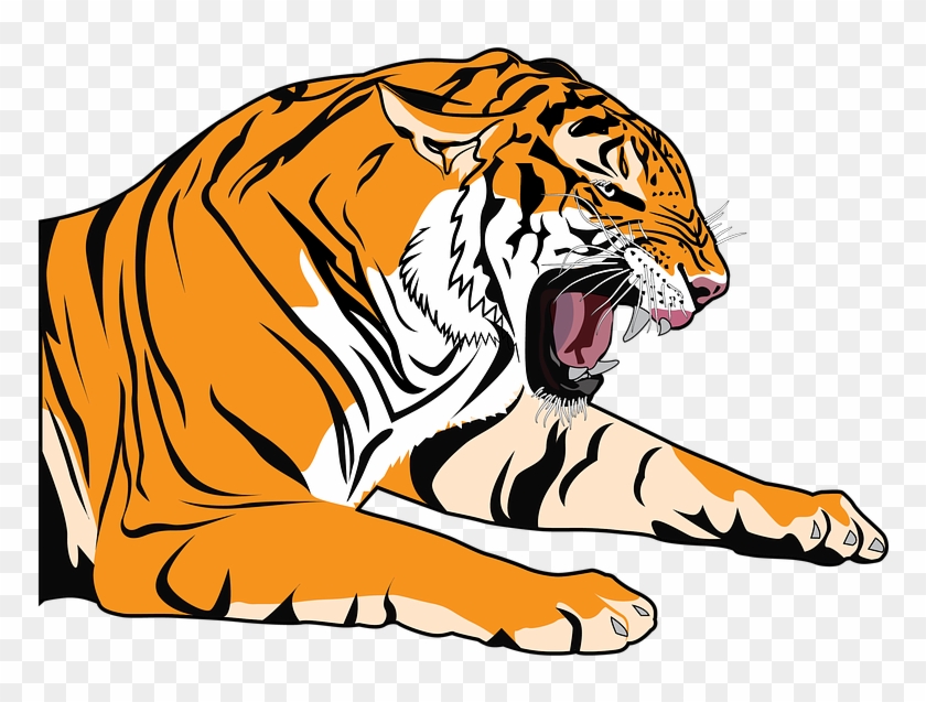 Kükreyen Kaplan Png - Desenho De Tigre Para Colorir Clipart #4960294