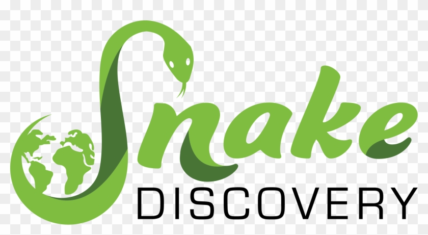 Graphic Design Clipart