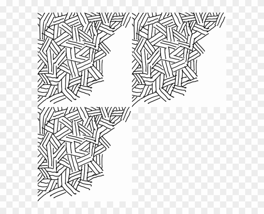 The Same Image But Copied 3 Times - Line Art Clipart