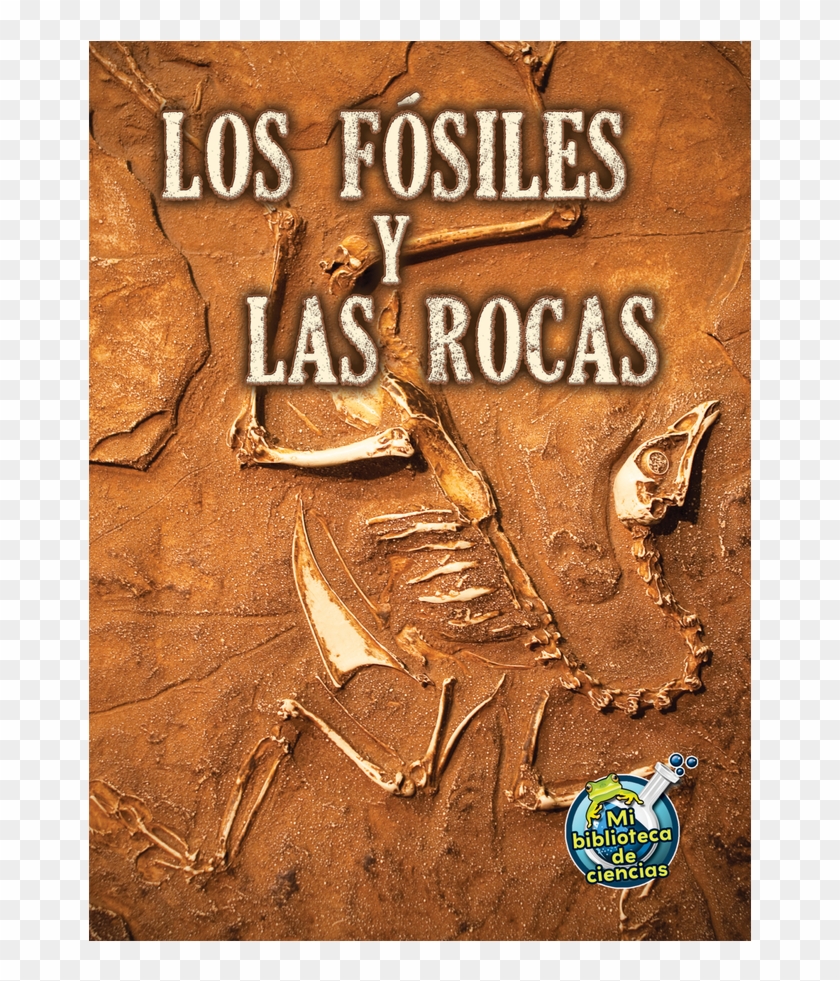 Tcr173117 Los Fosiles Y Las Rocas Image - Fossils In Sandstone Clipart #4961230