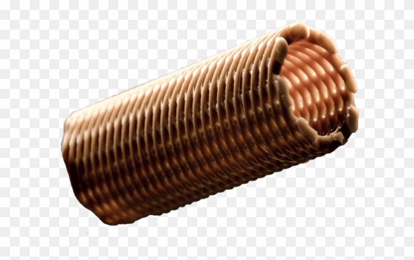 Fortify And Dsm Partner To Develop High-performance - Ammunition Clipart