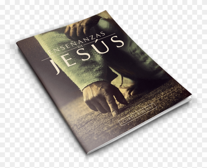 ¿cómo Quieres Estudiar Este Curso - Biblia Fácil Ensinos De Jesus Clipart #4964553