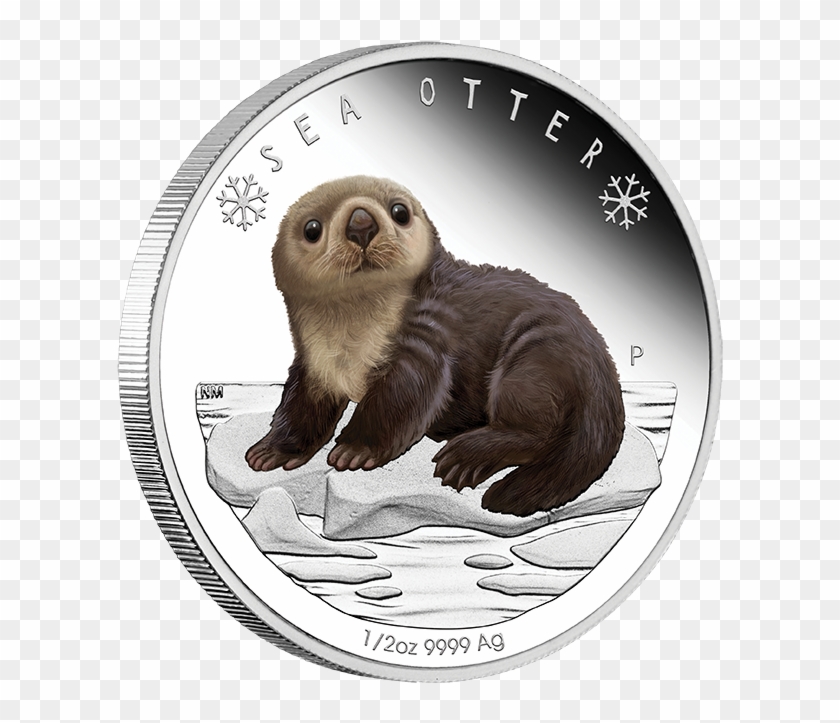 Sea Otter Silver Coin ~ The Polar Babies Series - Nutria De Plata Clipart