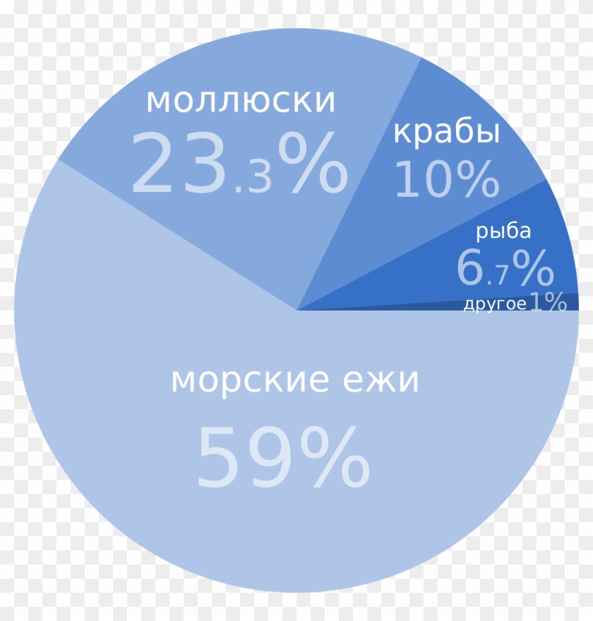Open - Circle Clipart #4965726