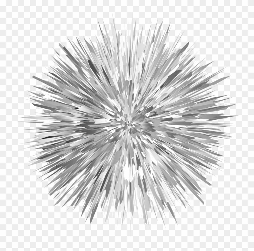 Sea Otter Red Sea Urchin Coloring Book - Sea Urchin Drawing Clipart