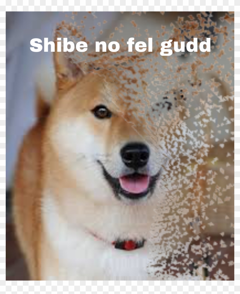 Akita Inu Smile Clipart #4966846