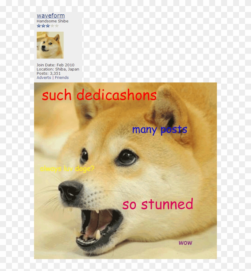 Adverts - Friends - Dog T Shirt Roblox Clipart