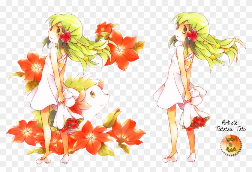 Render - Shaymin [1] - Pokemon Shaymin Anime Clipart #4968849