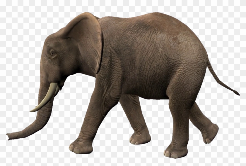 Elephant Walking Animation Clipart #4969313