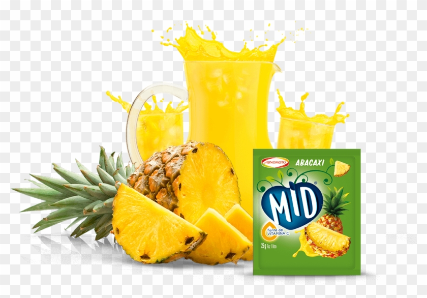 Protuto - Angiospermas Piña Clipart