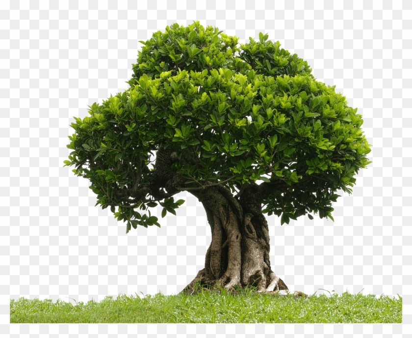 A Memory Rewind All Those Who Wander Medium - Editing In Bottle Clipart