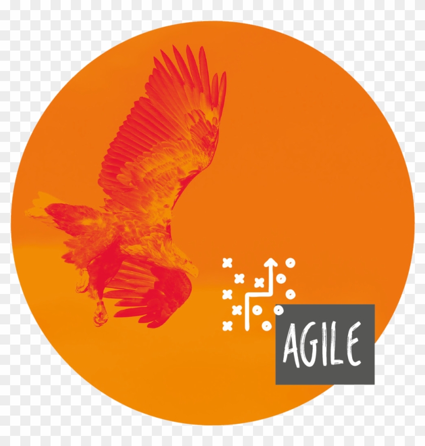 Golden Eagle Clipart