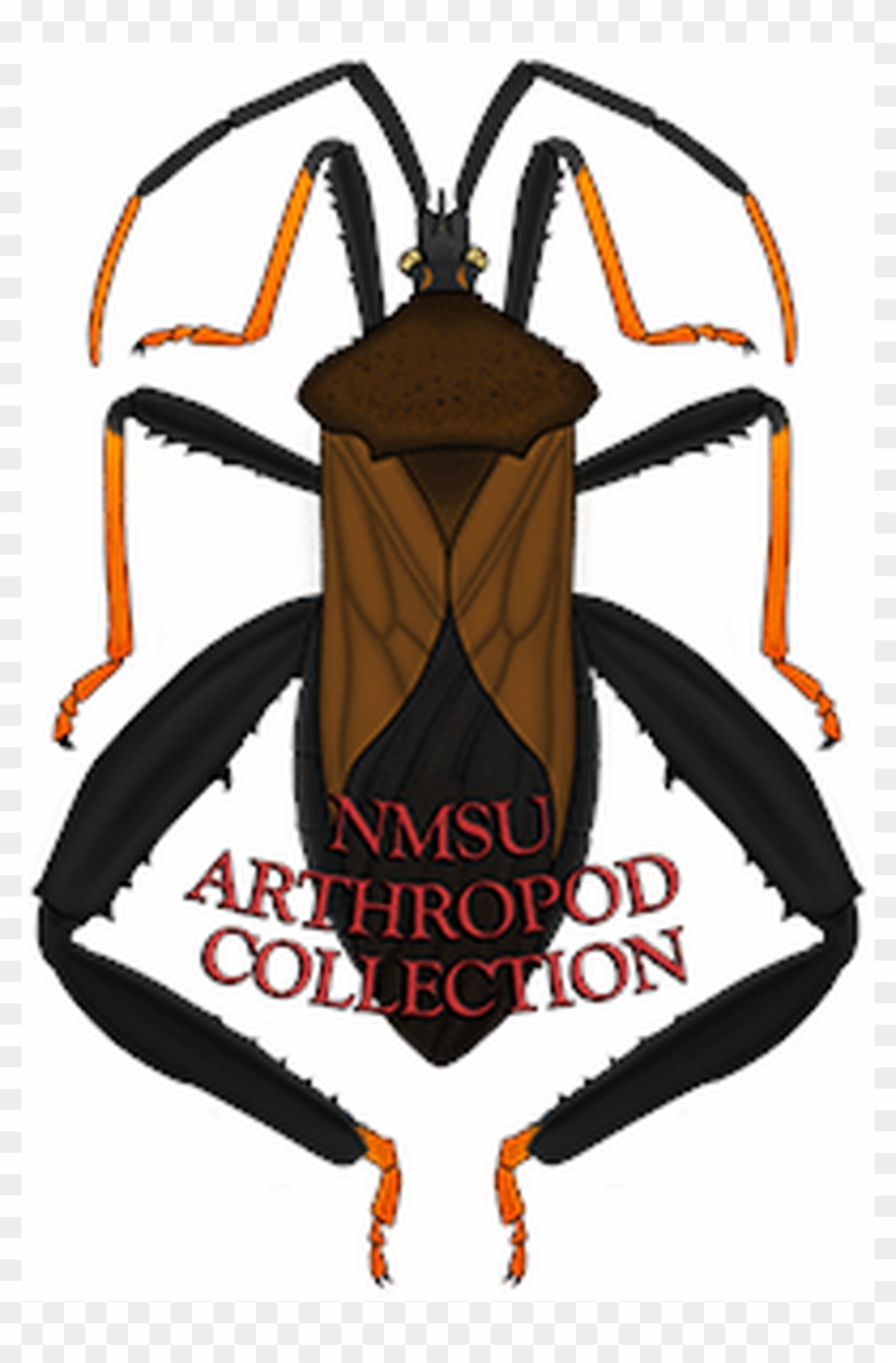 New Mexico State University Arthropod Museum Wiki, - Soldier Beetle Clipart #4971931