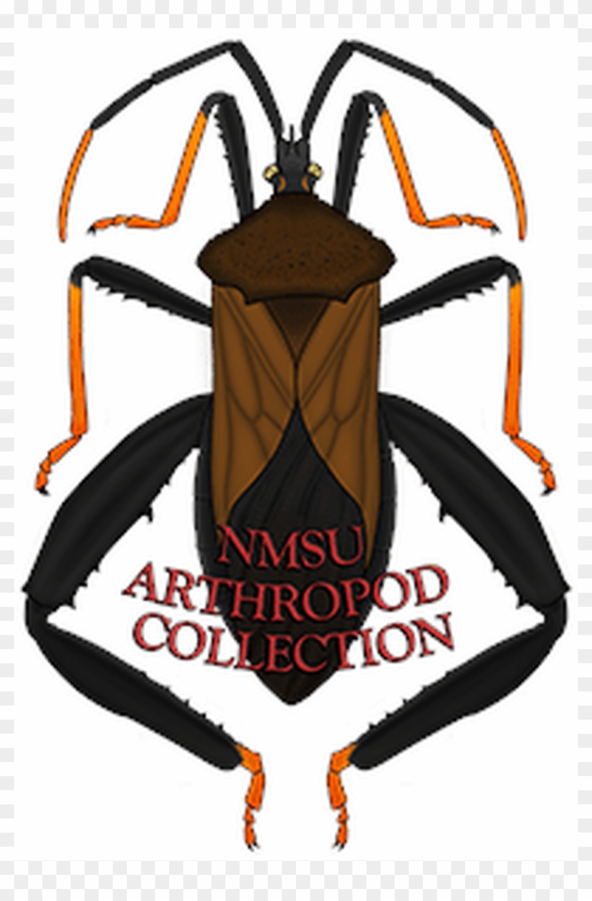 New Mexico State University Arthropod Museum Wiki, - Soldier Beetle Clipart