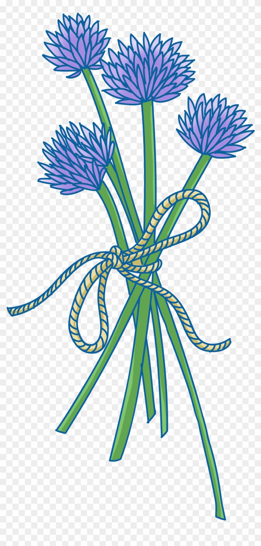 Pétalos Cuerda Flores Verde Png Y Psd - Illustration Clipart