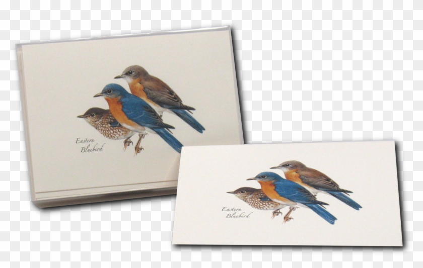 Shopping Cart -  -  Clipart