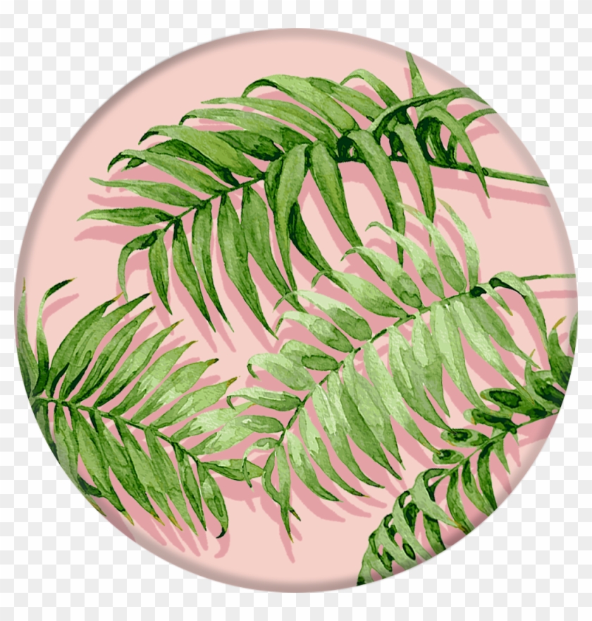 Collapsible Grip & Stand For Phones And Tablets - Palm Shadows Popsocket Clipart