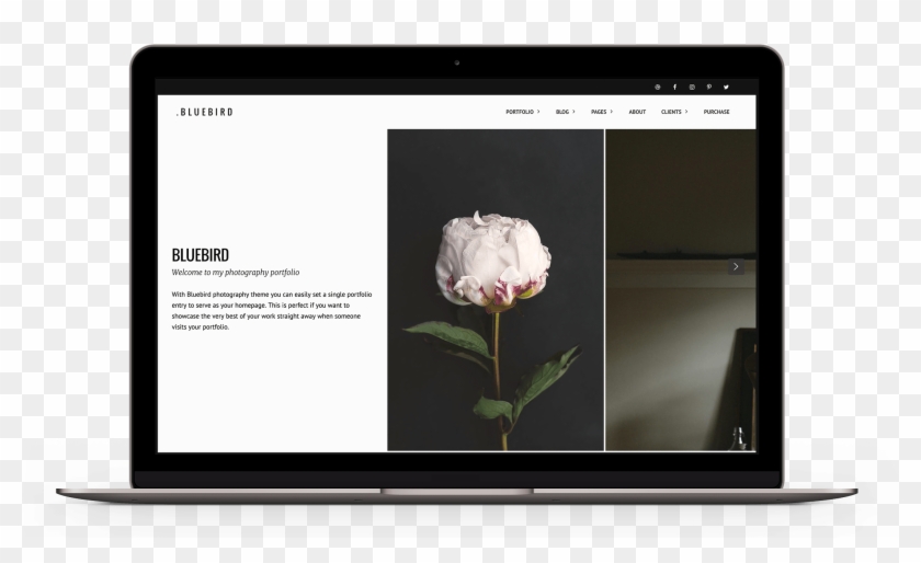 Photography Gallery Example - Led-backlit Lcd Display Clipart #4973919