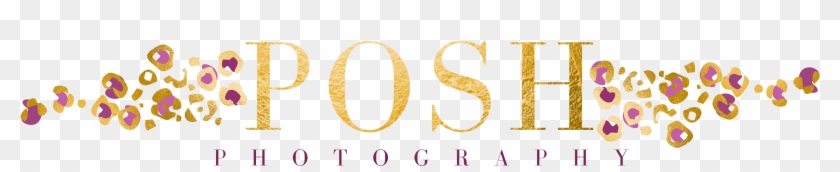 Posh Photography - Calligraphy Clipart #4974434
