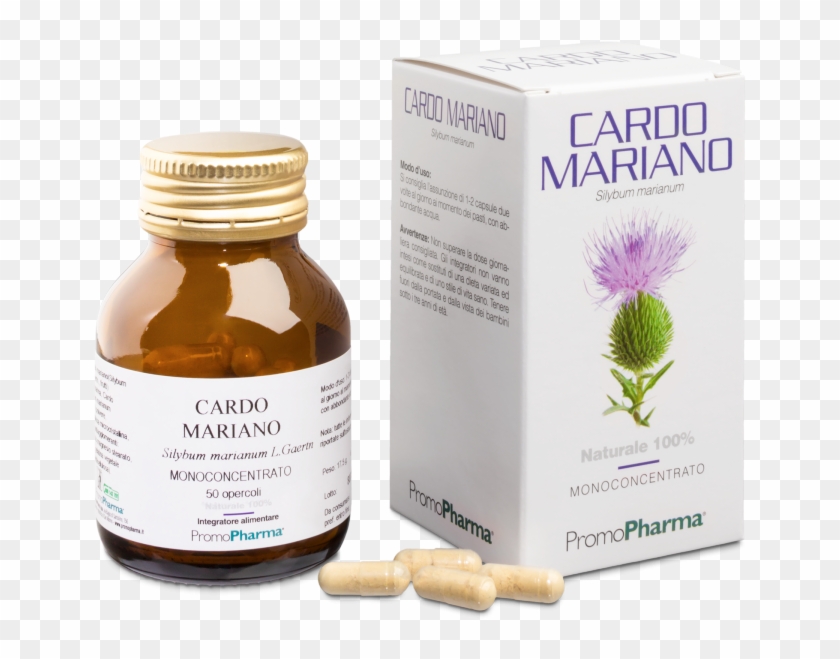 Milk Thistle - Red Yeast Rice Clipart