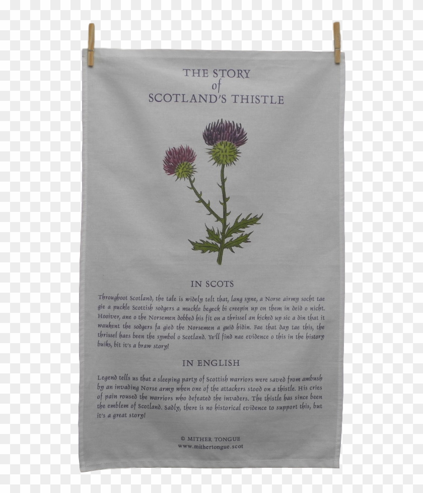 The Story Of Scotland's Thistle - Red Clover Clipart #4975915