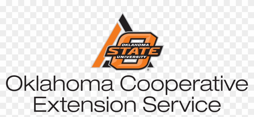 Funds Provided By Walmart - Graphic Design Clipart