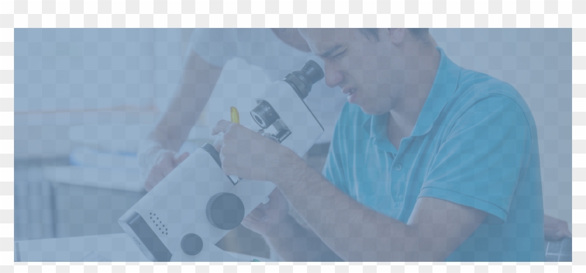 Banner Scholarship Page - Painting Clipart #4976244