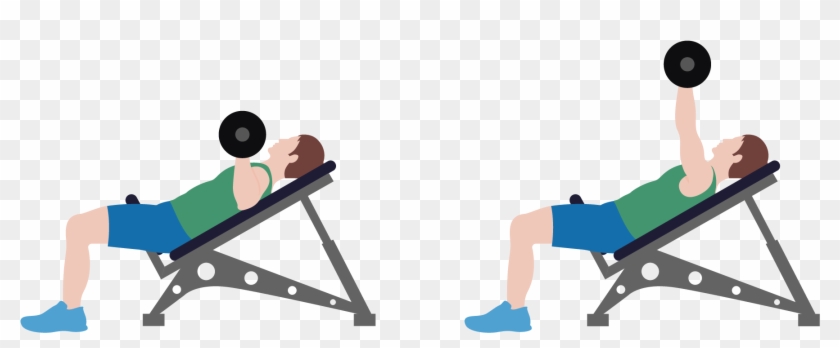 Dumbbells Clipart Bench Press Bar , Png Download - Bench Press Clipart Transparent Png