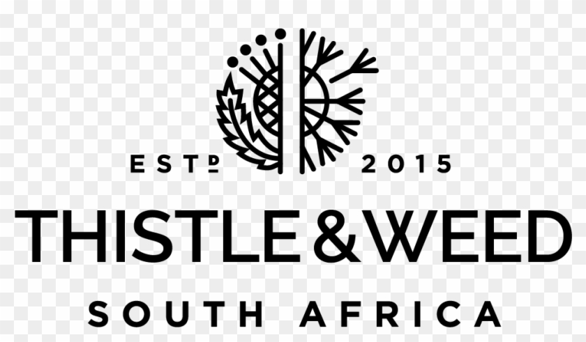 Thistle And Weed - Calligraphy Clipart