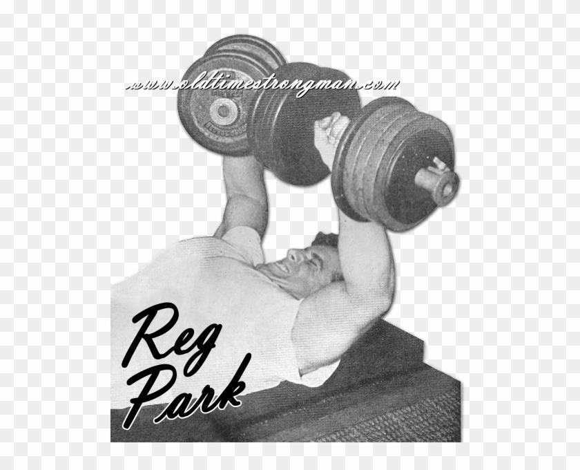 Reg Park Dumbbell Bench Pres - Reg Park Dumbbell Press Clipart #4977026