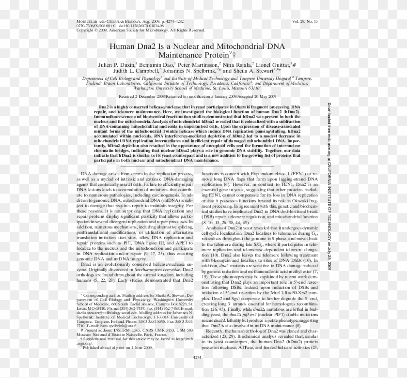 Pdf - Iseult And King Mark Embracing Clipart #4978875