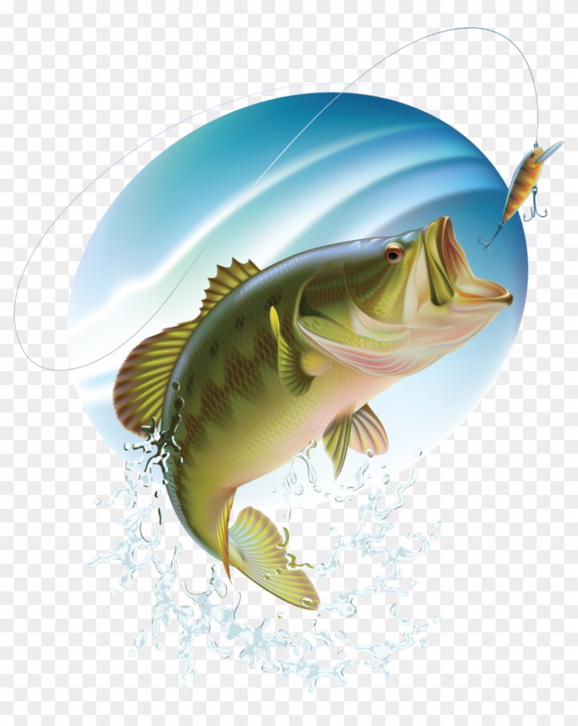 Largemouth Bass Drawing Clipart #4981366
