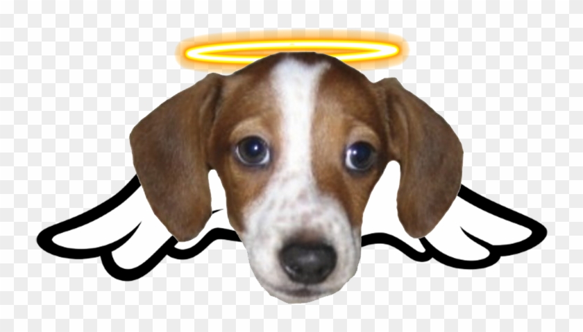 10000 Best R/greekgodx Images On Pholder - Frankerz Emote Png Clipart