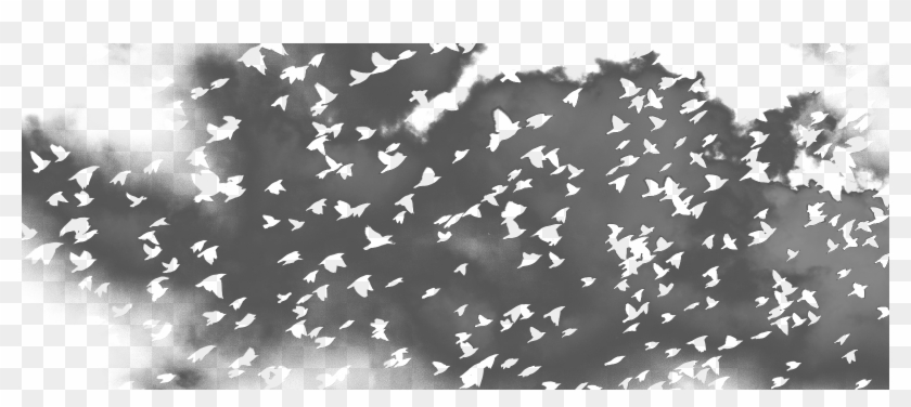 Golondrinas Muertas Sobre La Almohada Clipart #4982513