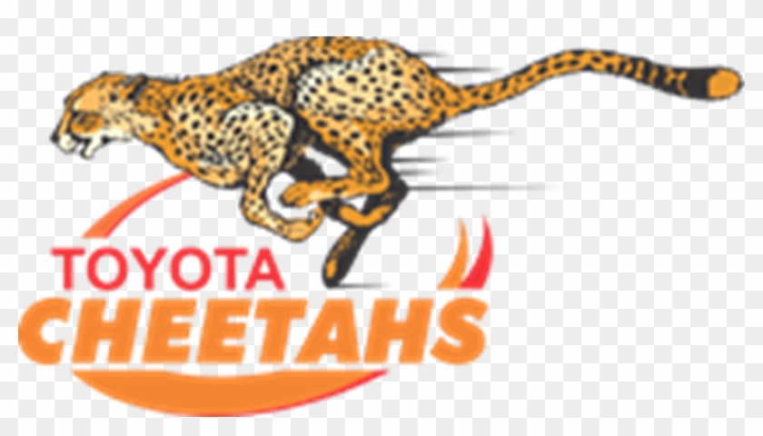 Toyota Cheetahs Vs Dragons - Cheetahs Rugby Clipart