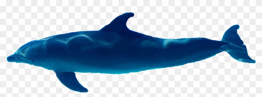 Delfin Sticker - Whale Clipart #4983955