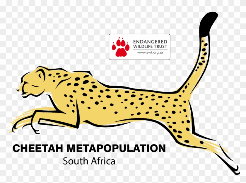 Yellow Clipart Cheetah - Southern Africa Cheetah - Png Download