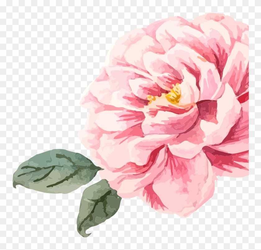 Fond-fleur - Common Peony Clipart #4985173