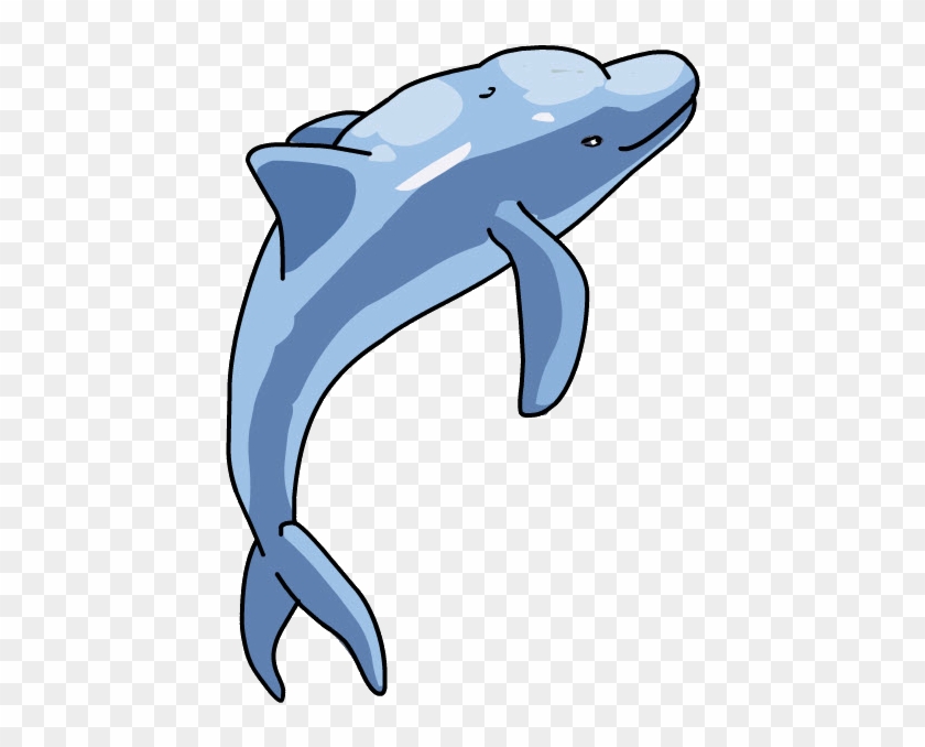 Delfín Clipart #4985224