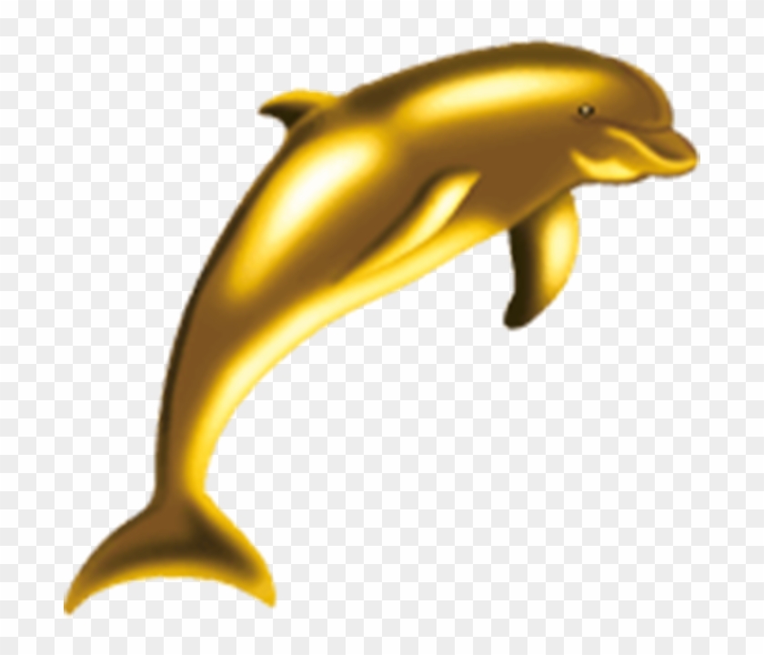 Delfin Dorado Clipart #4985283
