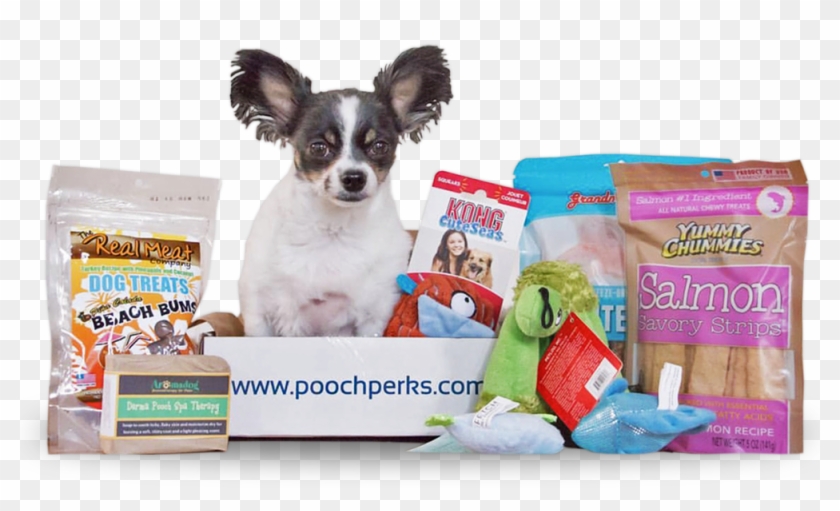 *durable Is Not Designed For Heavy/extreme Chewers - Pooch Perks Box Clipart #4985653