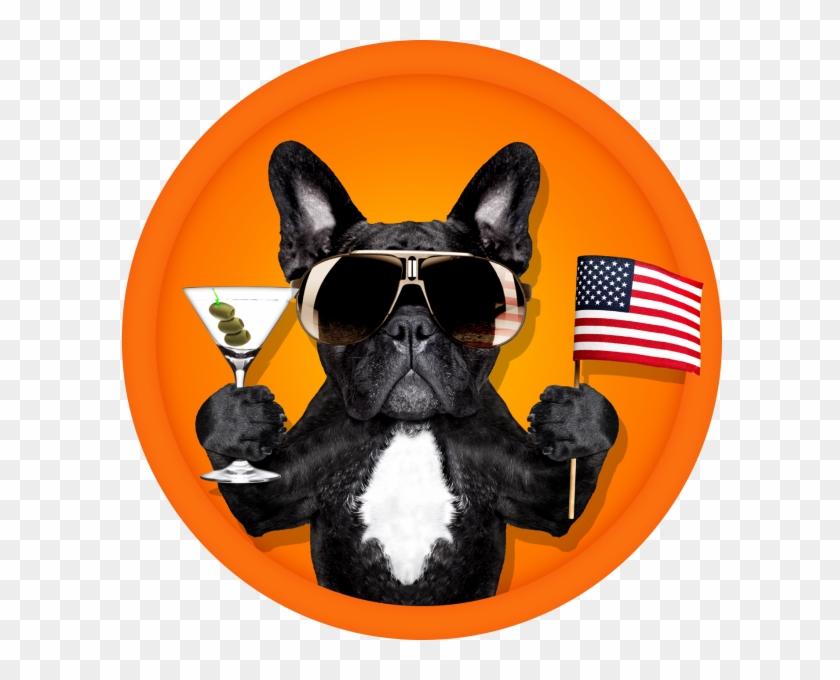 Event Summary - Happy Birthday Cool Dog Clipart #4986452