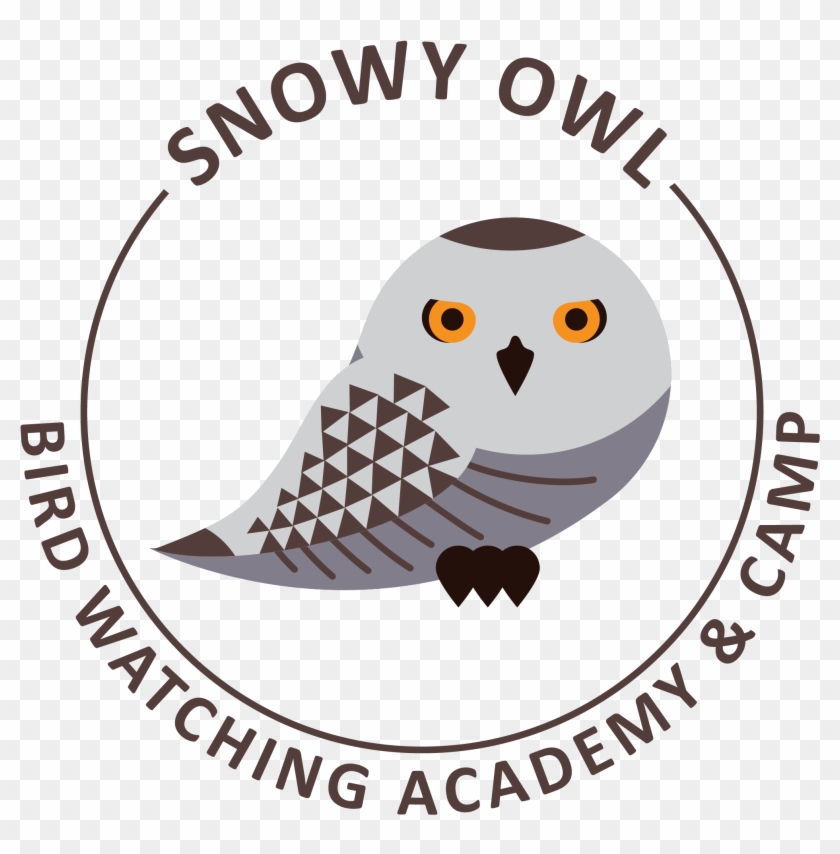 Logo Armee Du Salut Clipart